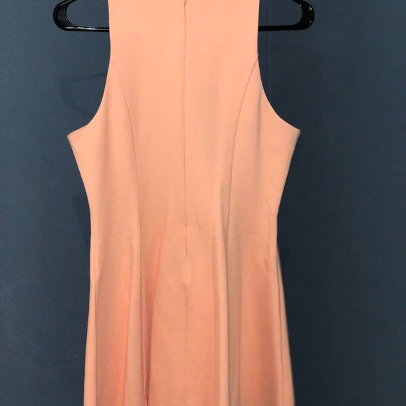 Coral Black Swan Thigh Length Dress - Picture 2 of 2